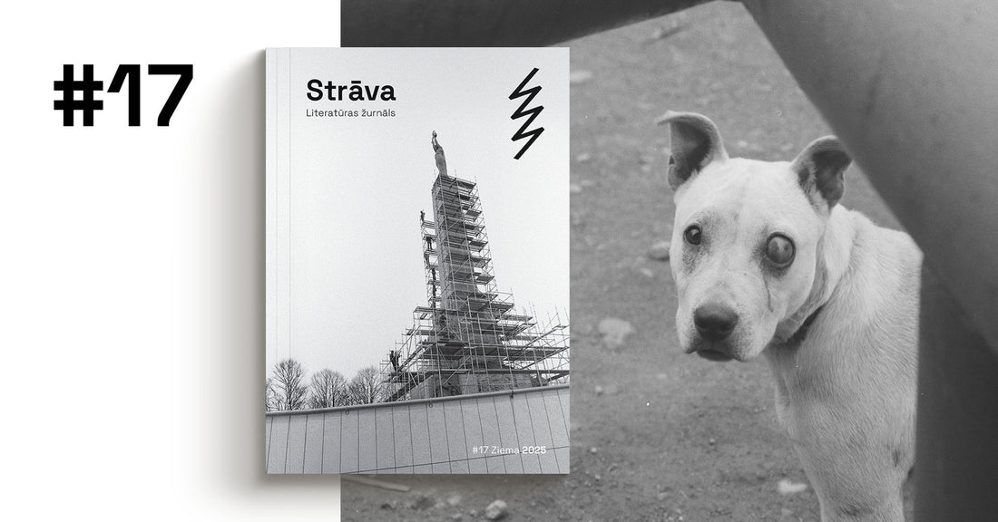 Iznācis literatūras žurnāla "Strāva" 17. numurs!